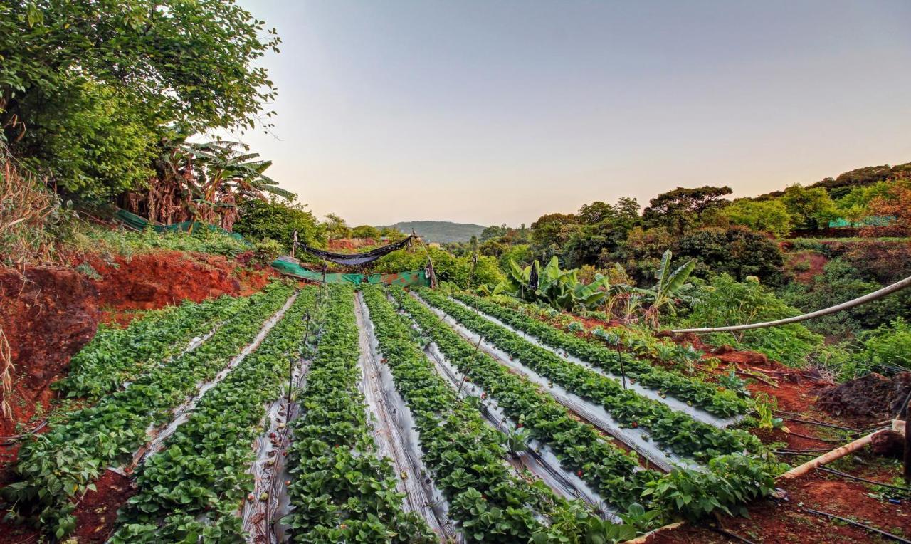 Treebo La Paradise Mahabaleshwar Bagian luar foto