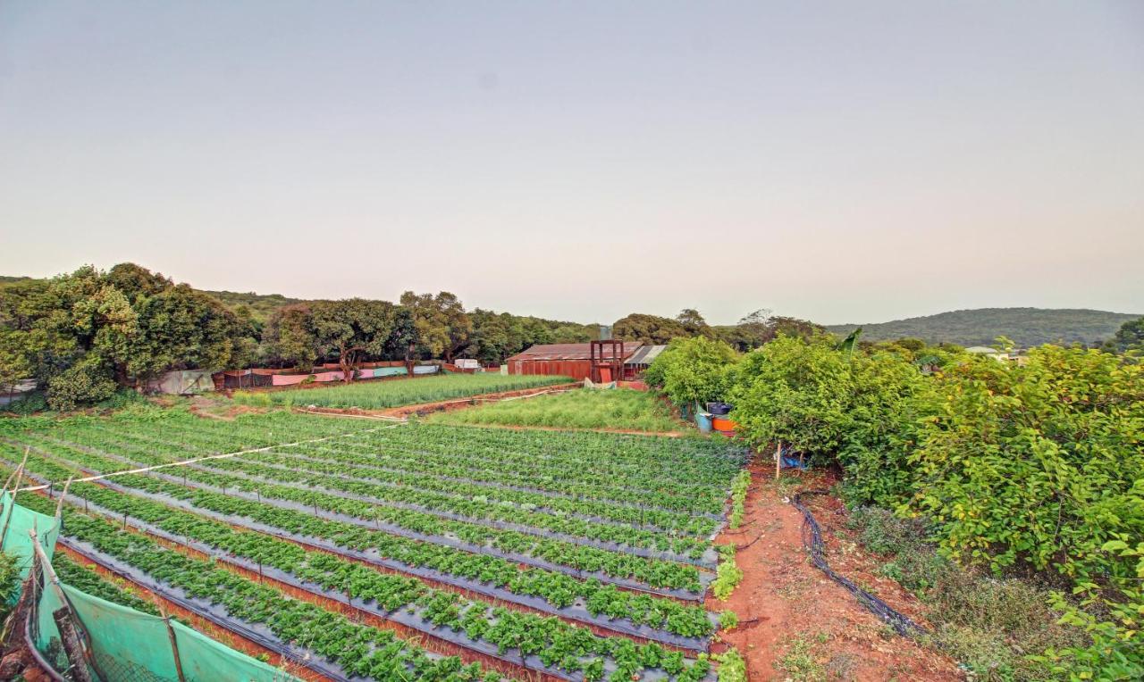 Treebo La Paradise Mahabaleshwar Bagian luar foto